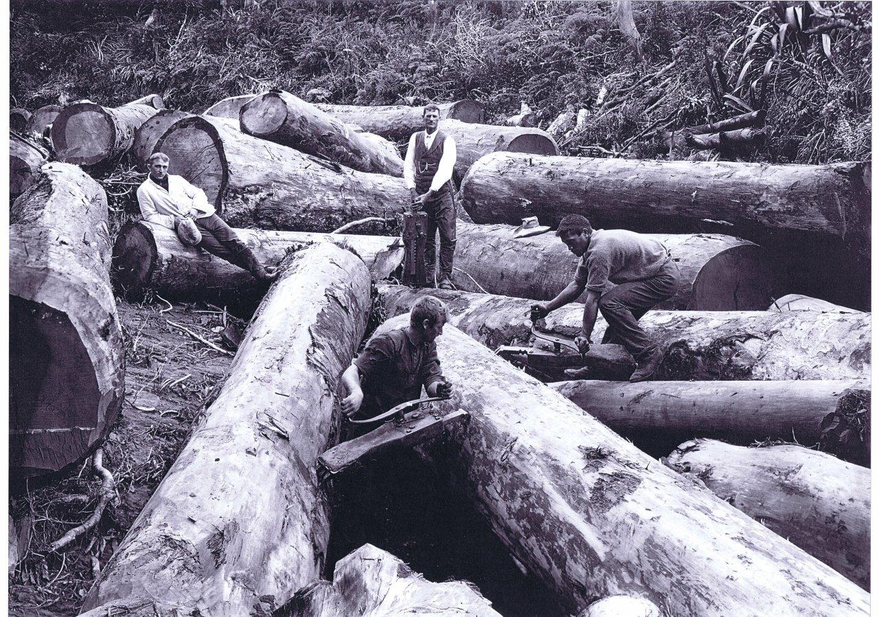 Kauri Slab Reclamation